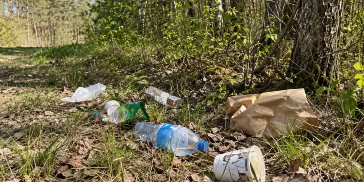 Po beveik pusmečio Kvietinių pamiškė sutvarkyta, o pažeidėjas nubaustas 2026