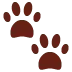 🐾
