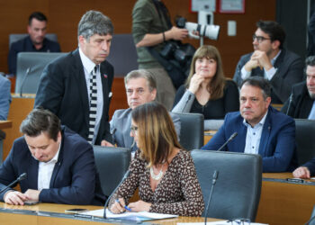 Borut sajovic in njegovo vmešavanje v odločitve tee košir 2026