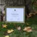 Budapest’s green oasis named europe’s best large urban park 2026