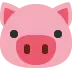 🐷