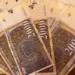Директорка и шефица во државна лотарија осомничени за проневера на безмалку 34 милиони денари 2026