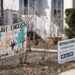 Doj allowed to join lawsuit against evanston reparations program for black residents 2026
