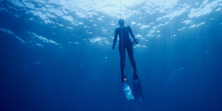 Zsófia törőcsik triumphs at freediving world championships with national record 2026