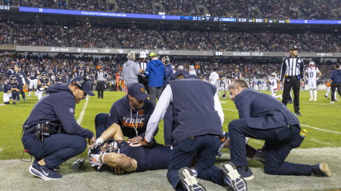 How we photographed the new baby penguins at brookfield zoo 2026 - justice Chicago bears tight end cole kmet #85 gets injured.