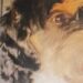 Hund auf nordstraße in kamen gefunden: polizei sucht besitzer 2026