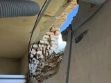 Институт стражеско в киеве вновь пострадал: первые кадры разрушений в операционной 2026 - справедливість - юстиция Стражеско в киеве институт стражеско в киеве вновь пострадал: первые кадры разрушений в операционной 2026 institut strazhesko kieve vnovy postradal pervye kadry 7 стражеско в киеве во вторник российская атака на киев затронула институт стражеска, где лечат сердечные заболевания. В прошлом году... Iustitia. Bg институт стражеско в киеве вновь пострадал: первые кадры разрушений в операционной 2026 2026-10-20 16:14:00 справедливість - юстиция стражеско в киеве