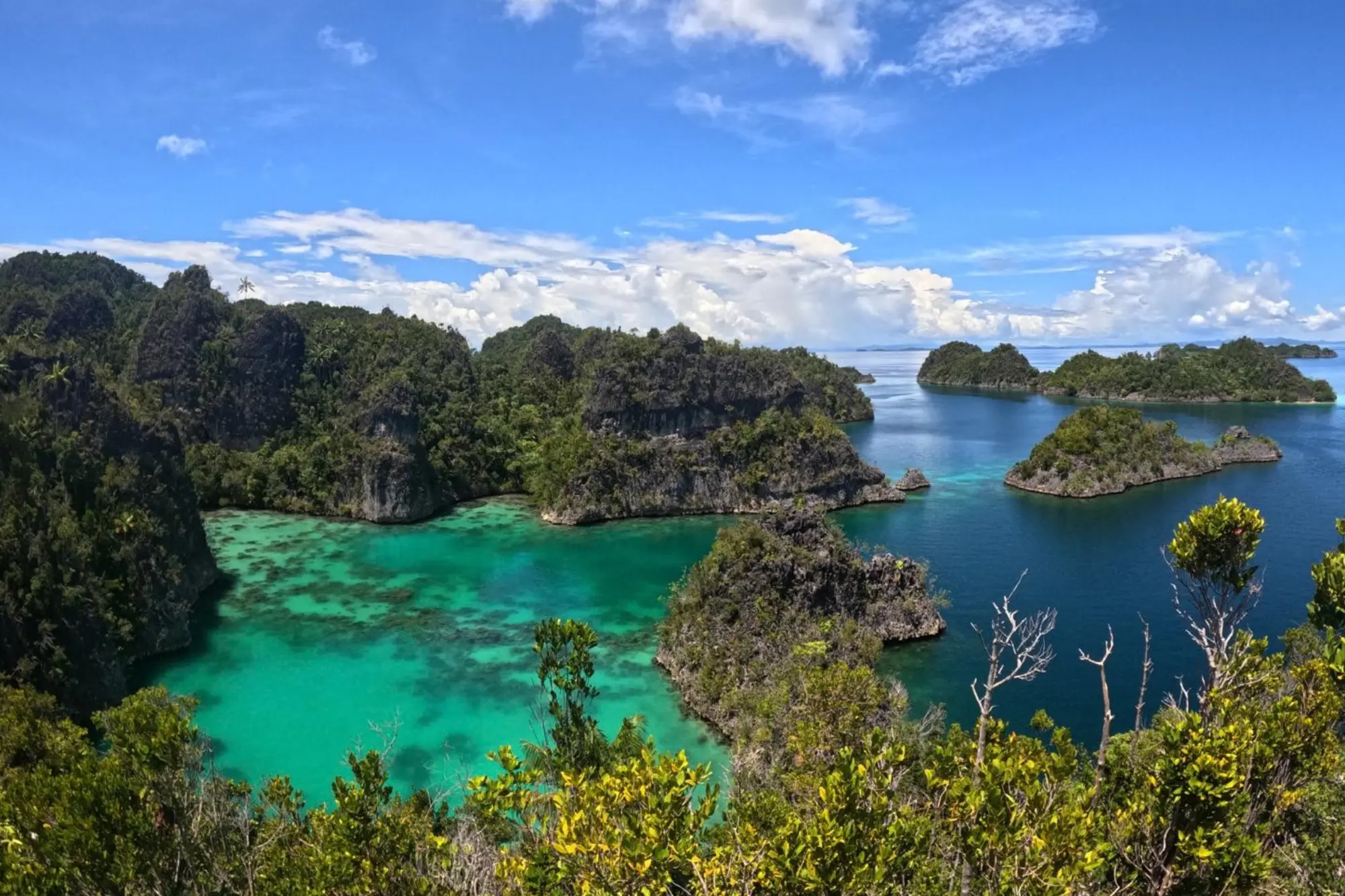 Pacific 【international student newspaper collaboration】the pacific’s forgotten paradox 2026 international student newspaper collaboration the pacif pacific this article is published as a part of the collaboration between the pacific post and todai shimbun.  
raja ampat,... Iustitia. Bg 【international student newspaper collaboration】the pacific’s forgotten paradox 2026 2026-10-10 02:05:09 正義 pacific