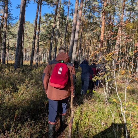 Istorinė kelionė „karžygių keliais“ 2026 - teisingumas - iustitia. Bg Karžygių keliais istorinė kelionė „karžygių keliais“ 2026 istorin kelion kar ygi keliais 2026 13 karžygių keliais iustitia. Bg gimtasis rokiškis
jaunimui skirtas pėsčiųjų žygis „karžygių keliais“ tapo prasminga pažintine kelione į pokario laisvės kovų istoriją. Žygis buvo organizuotas minint 80-ąsias... Istorinė kelionė „karžygių keliais“ 2026 2026-10-22 05:59:14 teisingumas - iustitia. Bg karžygių keliais