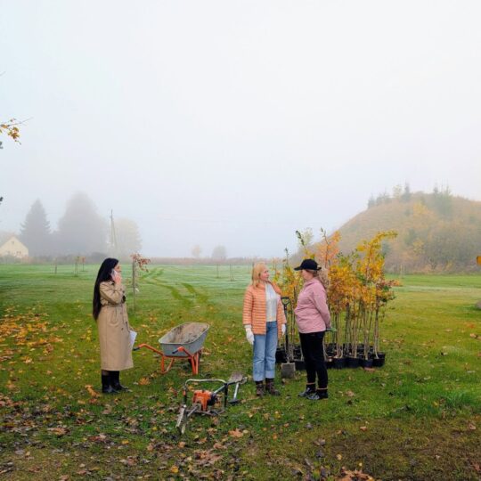 Jubiliejais pažymėtas spalis: skemų socialinės globos namai mini veiklos 90-metį 2026 - teisingumas - iustitia. Bg Skemų socialinės globos jubiliejais pažymėtas spalis: skemų socialinės globos namai mini veiklos 90-metį 2026 jubiliejais tas spalis skem socialin globos namai mini 2 skemų socialinės globos iustitia. Bg gimtasis rokiškis
anot skemų socialinės globos namų direktorės gretos žilėnienės, tai – prieš metus šalia įstaigos pasodintos „gintaro alėjos“ tęsinys: „praėjusį rudenį... Jubiliejais pažymėtas spalis: skemų socialinės globos namai mini veiklos 90-metį 2026 2026-10-21 06:38:55 teisingumas - iustitia. Bg skemų socialinės globos