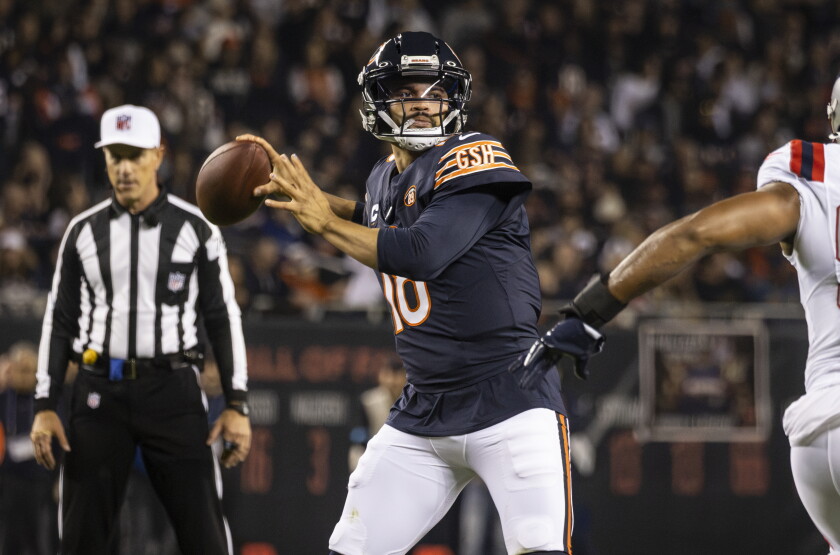 Bears_261023-49. Jpg