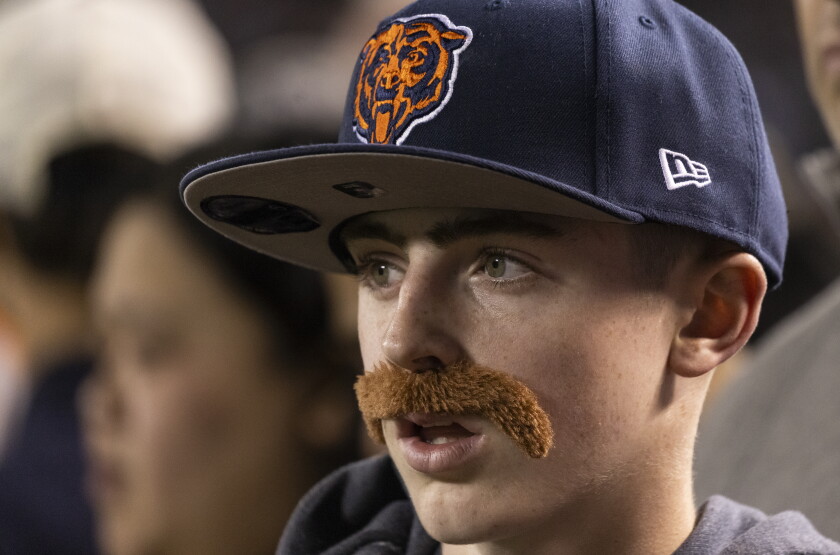 Bears_261023-17. Jpg