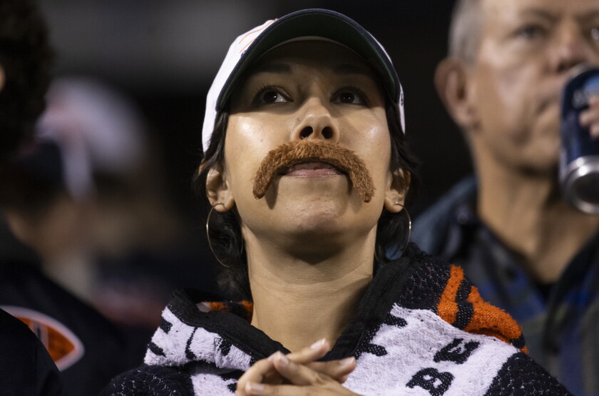 Bears_261023-16. Jpg