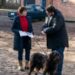 29. Krimi-fall: auf usedom sind die „mörder unter uns“ 2026 - iustitia. Bg - gerechtigkeit 29. Krimi-fall: auf usedom sind die „mörder unter uns“ 2026