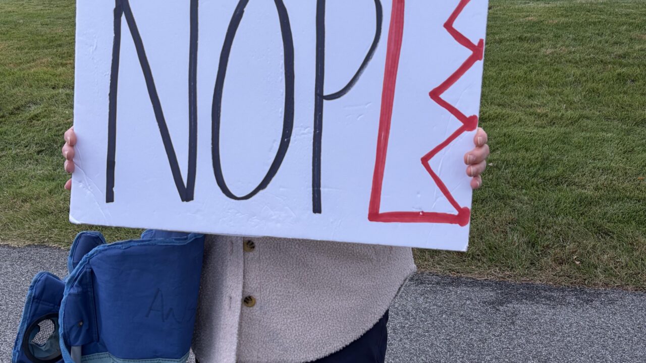 Dozens of rallies running under a "No Kings" banner were held across the DC region on Saturday, marking the latest in nationwide protests against the policies of the Donald Trump administration ahead of the November election cycle.