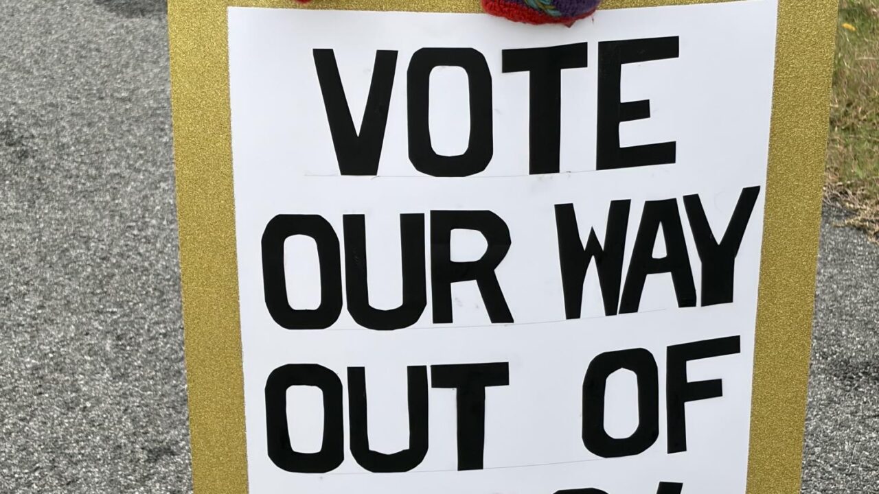 Dozens of rallies running under a "No Kings" banner were held across the DC region on Saturday, marking the latest in nationwide protests against the policies of the Donald Trump administration ahead of the November election cycle. (WTOP/Grace Newton)