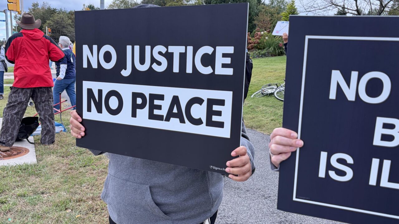 Dozens of rallies running under a "No Kings" banner were held across the DC region on Saturday, marking the latest in nationwide protests against the policies of the Donald Trump administration ahead of the November election cycle. (WTOP/Grace Newton)
