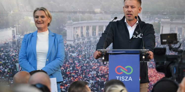 Magyar péter: az árrésstop tönkreteszi az agráriumot, meg kell fontolni a kivezetését 2026
