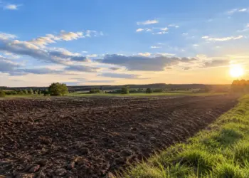 Žemės mokestį reikės sumokėti iki lapkričio 16 d. 2026