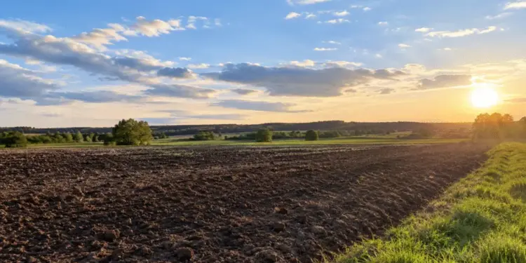 Žemės mokestį reikės sumokėti iki lapkričio 16 d. 2026 - teisingumas - iustitia. Bg Žemės mokestį reikės sumokėti iki lapkričio 16 d. 2026