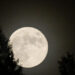 Mondkalender 2026: wann ist vollmond im oktober? Alle termine, uhrzeiten & mehr 2026
