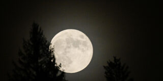 Mondkalender 2026: wann ist vollmond im oktober? Alle termine, uhrzeiten & mehr 2026 - iustitia. Bg - gerechtigkeit Der vollmond geht über einem bergwald auf.