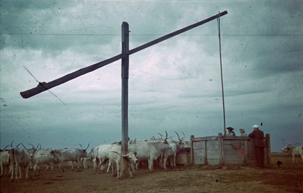 Museum of ethnography museum of ethnography to showcase the living traditions of hortobágy shepherds 2026 museum ethnography showcase the living traditions horto 2 museum of ethnography a herd of gray cattle being driven from its winter quarters to the summer pastures in hortobágy
the museum of... Iustitia. Bg museum of ethnography to showcase the living traditions of hortobágy shepherds 2026 2026-10-06 14:15:31 justice - iustitia. Bg museum of ethnography
