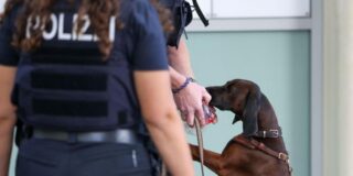 Nach häftlingsbefreiung in essen: justizminister limbach will überfallene beamte besuchen 2026 - iustitia. Bg - gerechtigkeit Der mantrailer-suchhund der polizei riecht am tatort in der essener innenstadt an einer geruchsprobe. Nach der gewaltsamen befreiung eines häftlings bei einem arztbesuch in essen sind bei der polizei mehrere zeugenhinweise eingegangen. Die drei männer sind weiter auf der flucht.