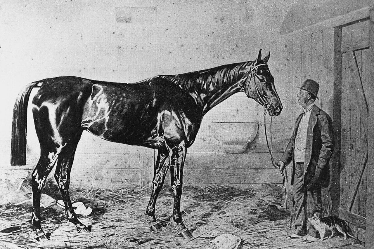 Legendary career of kincsem, the unbeatable wonder mare, began 150 years ago