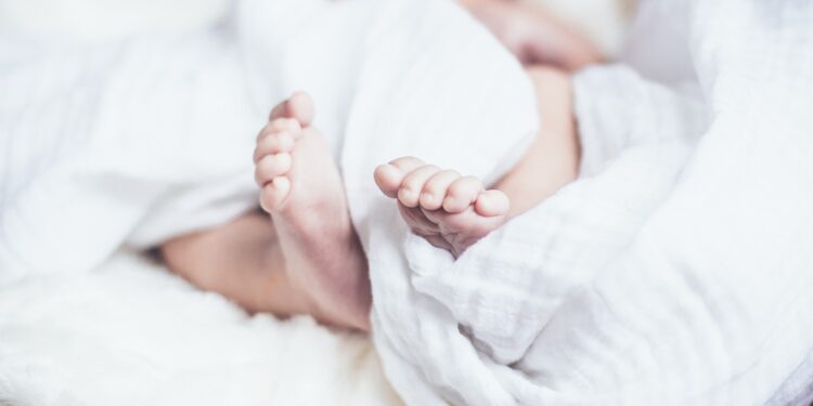 New investment to strengthen the infertility care system 2026