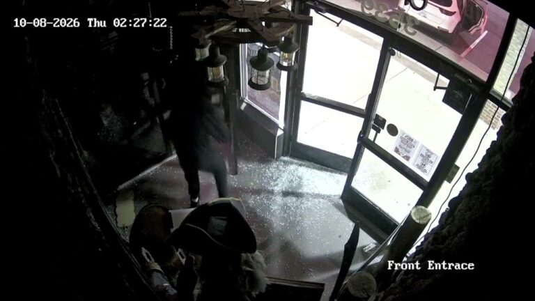 Police ask for the public’s helping identifying smash and grab robbers in fairfax county 2026