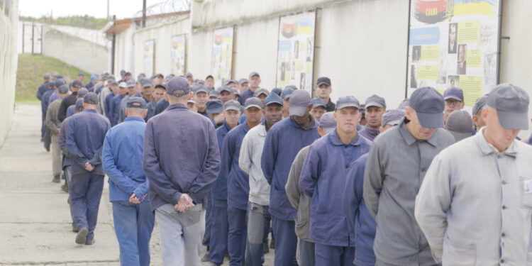 У пошуках "російської мрії": як громадяни країн африки долучаються до армії рф 2026 - справедливість - юстиция У пошуках "російської мрії": як громадяни країн африки долучаються до армії рф 2026