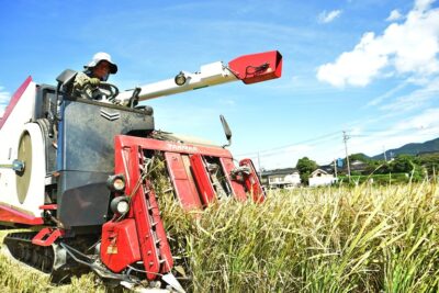 米価暴落し生産者の経営直撃 国は主食の安定供給に責任持て 米価暴落し生産者の経営直撃　国は主食の安定供給に責任持て　農家守る所得補償が急務 2026 shi hazhu gong ren 2026 43 米価暴落し生産者の経営直撃 国は主食の安定供給に責任持て （2026年9月21日付掲載）
稲刈りをする農家（山口県）
<span style="font-family: arial, helvetica,... Iustitia. Bg 米価暴落し生産者の経営直撃　国は主食の安定供給に責任持て　農家守る所得補償が急務 2026 2026-09-29 06:13:20 正義 米価暴落し生産者の経営直撃 国は主食の安定供給に責任持て