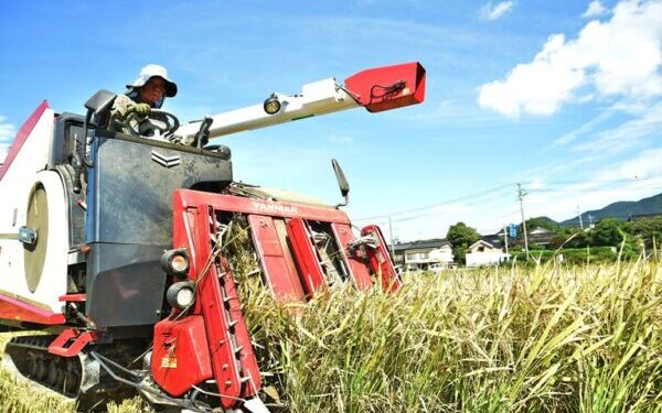 米価暴落し生産者の経営直撃　国は主食の安定供給に責任持て　農家守る所得補償が急務 2026