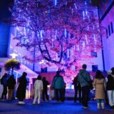 Menschen betrachten die lichtinstallation an einem baum beim light festival essen