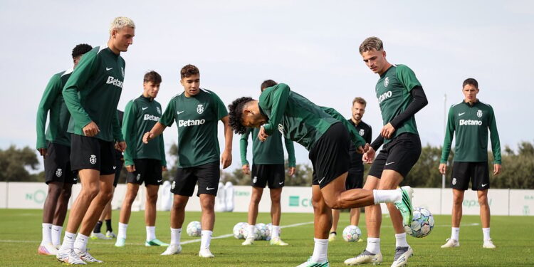Sporting procura terceira vitória na champions e rui borges avisa: "a teoria não existe" 2026