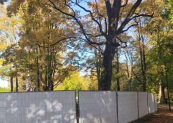 Statant daugiabutį Gargždų parko plotas nesumažės 2026