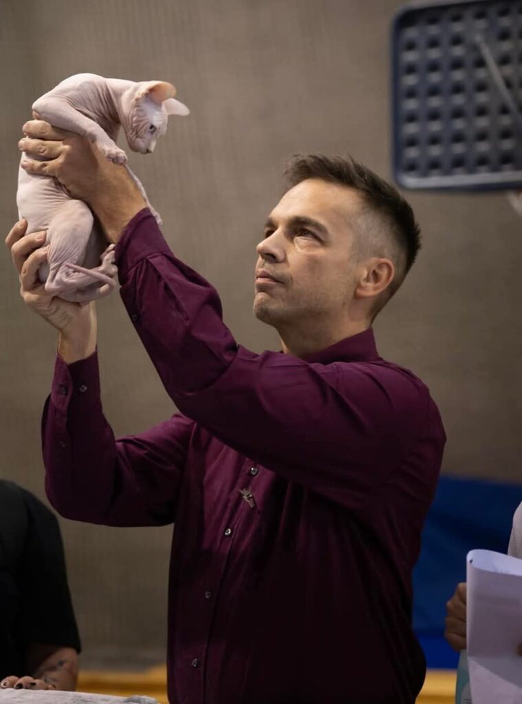 Tajanstvena mačka te divne dlakavice nisu kratkotrajna zanimacija, a imaju pozitivan učinak na mentalno zdravlje 2026 - pravda - iustitia. Bg Učinak na mentalno tajanstvena mačka te divne dlakavice nisu kratkotrajna zanimacija, a imaju pozitivan učinak na mentalno zdravlje 2026 tajanstvena divne dlakavice nisu kratkotrajna zanimacij učinak na mentalno iustitia. Bg odluka o nabavi mačke ne bi smjela biti impulzivna. Mačka nije dekoracija doma niti kratkotrajna zanimacija. Prosječan životni vijek kućne mačke danas nerijetko prelazi 15 godina. To znači dugoročnu obvezu –... Tajanstvena mačka te divne dlakavice nisu kratkotrajna zanimacija, a imaju pozitivan učinak na mentalno zdravlje 2026 2026-10-06 11:33:00 iustitia. Bg pravda - iustitia. Bg učinak na mentalno