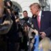 Trump: haben der ukraine viel gegeben – und sie uns nichts 2026 - iustitia. Bg - gerechtigkeit Trump: haben der ukraine viel gegeben – und sie uns nichts 2026