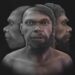 Ученые показали, как выглядел самый древний известный homo sapiens 2026