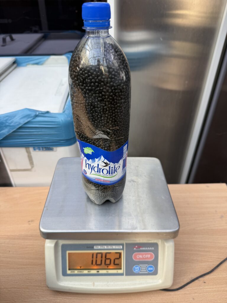Vilniaus oro uoste vilniaus oro uoste muitininkai sulaikė daugiau kaip 6 kg kramtomojo tabako 2026 vilniaus oro uoste muitininkai sulaik daugiau kaip kram 2 vilniaus oro uoste iustitia. Bg vilniaus teritorinės muitinės pareigūnai vilniaus oro uoste sulaikė daugiau kaip 6 kilogramus nasvajaus – pavojingo nerūkomojo tabako gaminio. Iš uzbekistano per varšuvą... Vilniaus oro uoste muitininkai sulaikė daugiau kaip 6 kg kramtomojo tabako 2026 2026-10-20 11:24:51 teisingumas - iustitia. Bg vilniaus oro uoste