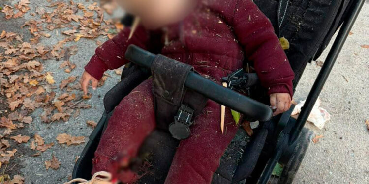 Зеленський про удар по парку на харківщині: загинула однорічна дівчинка, її мама померла в лікарні 2026 - справедливість - юстиция Зеленський про удар по парку на харківщині: загинула однорічна дівчинка, її мама померла в лікарні 2026